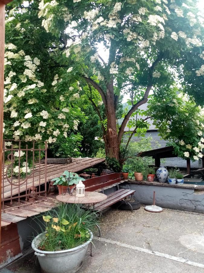 Pünderich Moselhaus Tante Emmaヴィラ エクステリア 写真